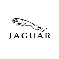 Diagnóstico Jaguar